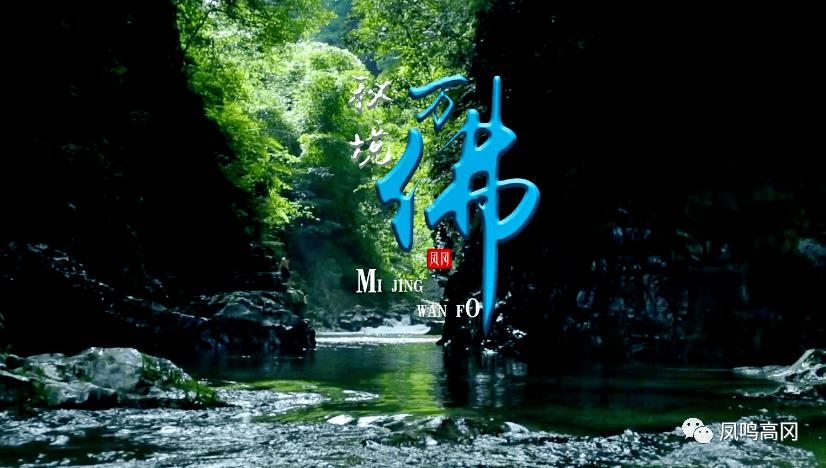 启动机关怎么踩原神-知识星球,你的智慧秘籍