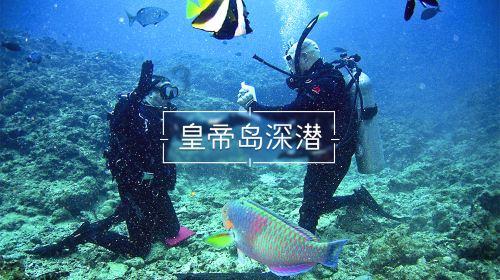 魔法学校女生